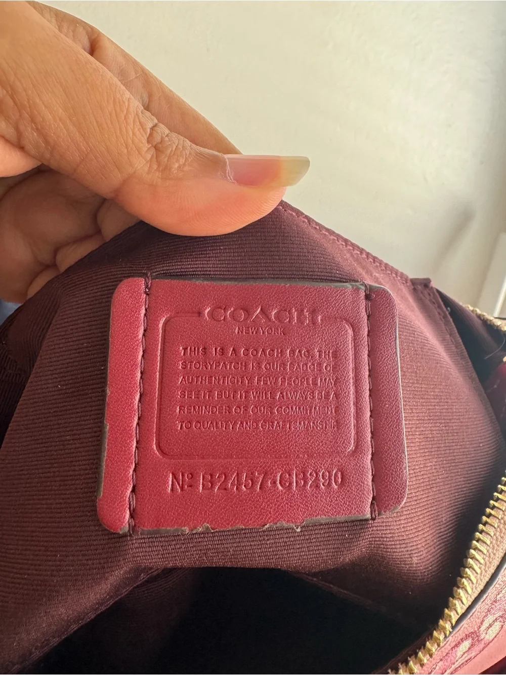 Cherry Print Coach Bag - Picture 5 of 7